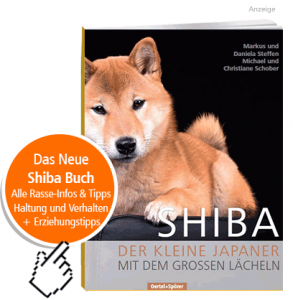Ratgeber Buch Shiba Hunderasse